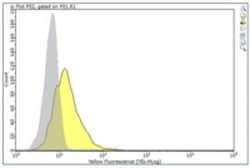 TAB-2 Mouse anti-Human, Clone: 1D5.2, MilliporeSigma 25 &mu;g;Unconjugated:Antibodies,